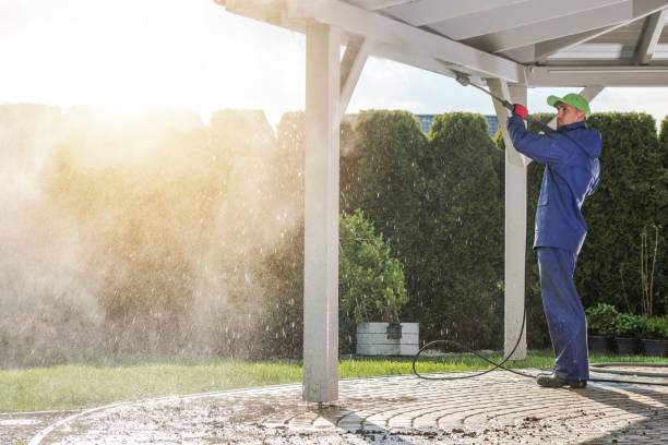 Best Soft Washing  in Dayton, OH